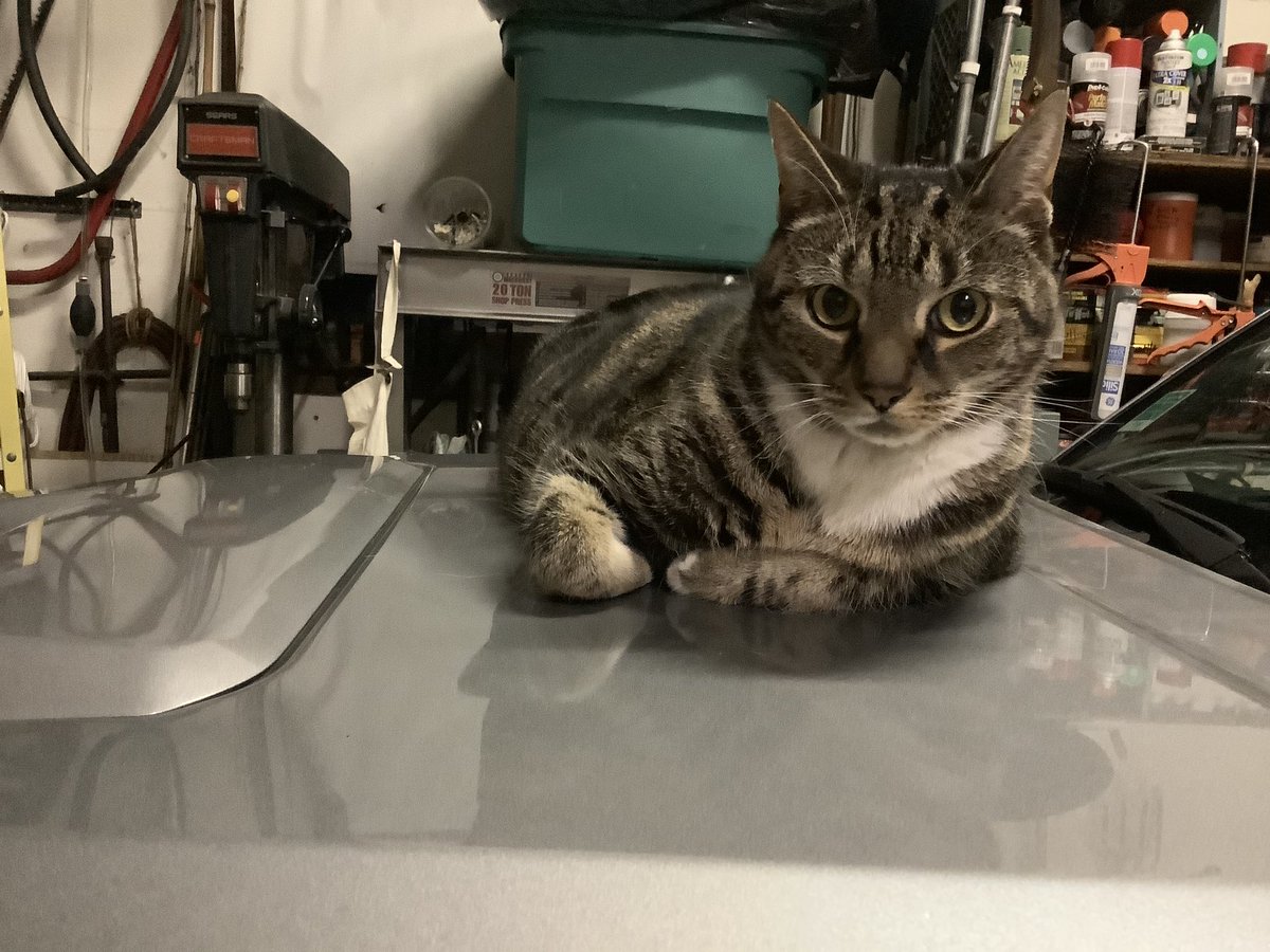 1718106J's tweet photo. @EricSacco @JohnJam29184340 EVEN THIS KITTY KNOWS ..
#GameOver
#CtDemocrats
#SorryNotSorry
#NoBailOut
#SuckItUp
#Malfeasance
#PayThePrice
#WeAllSeeYou
@streetglide12 @HypocriLib @EdDadakis @CTIronman @gov_ct @EssexCT_News @UpinCT @fiscalfreedomct @ct_turnip
PAY THE PIPER NOW https://t.co/0jw5zG7clO