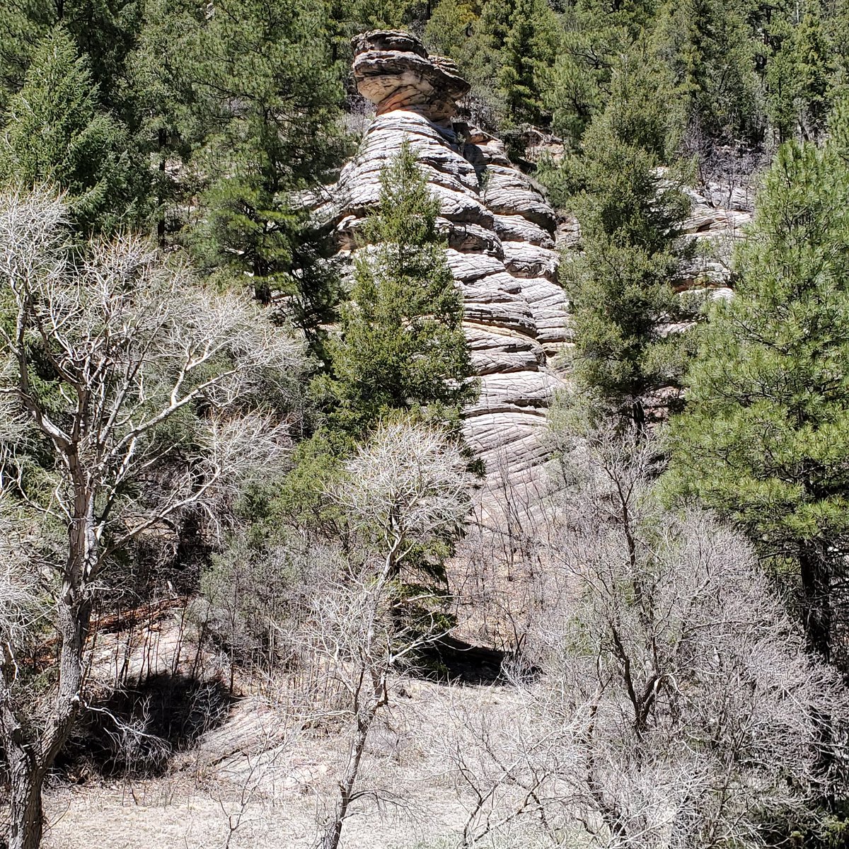 ND_guy's tweet image. 