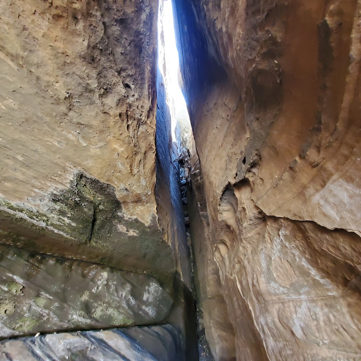 ND_guy's tweet image. 