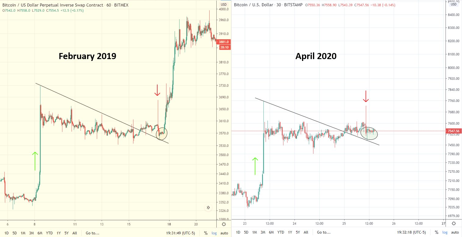 bitcoin bull run