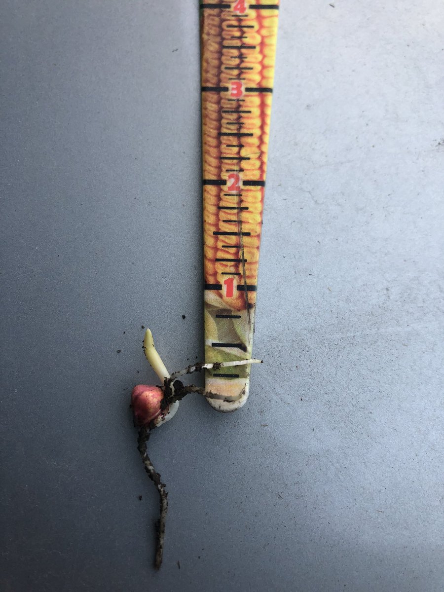 Mike Lauterbach tweet media