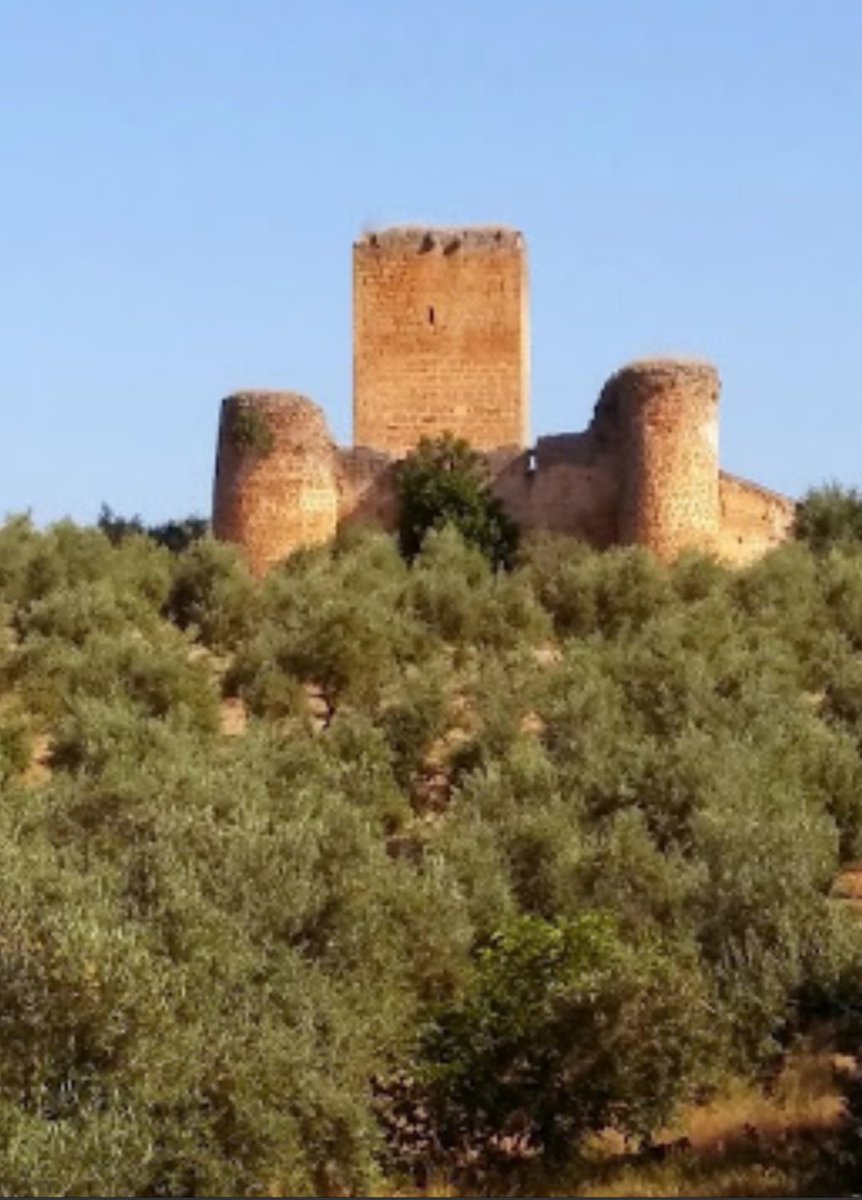 Hay muchísimos más. En total, superan los 200 ejemplares de diversa tipología debido a la enorme importancia estratégica que tuvo el Reino de Jaén. Muchos incluso están en mitad del campo, entre olivares, como es el caso del castillo de la Aragonesa en el término de Marmolejo.