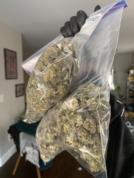 u know, just the essentials https://t.co/6TJNco7b0y