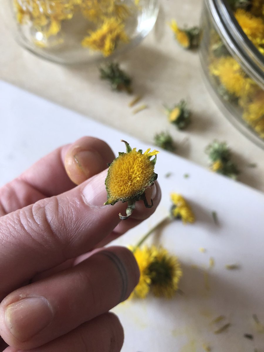 You can use the flowers whole if you want. People use them whole to make medicine or for eating. Look up some recipes online for ideas.The flower butt is super satisfying to look at after the petals are cut off tho.