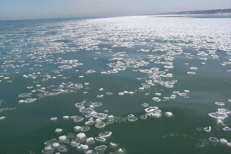 here's a photo of pancake ice on lake michigan — you can totally imagine it being sculpted into balls if the water was wavy and cold enough. that's why ice balls are found close to shore, not the middle of the lake — the shore is where waves can really roll them into shape.