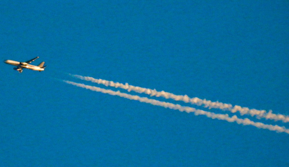 aviationathan's tweet photo. #Rare Omni Air International #Boeing767 #N441AX Contract / Lease #Aircraft. Callsign #OAE800 from #WashingtonDC to #Bucharest Saturday 25th April 2020. #Boeing #AvGeek #AvGeeks #potn #military #PlaneSpotting #OmniAir https://t.co/2sXPtFxKSm