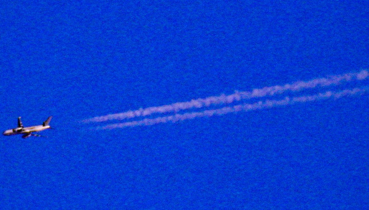 aviationathan's tweet photo. #Rare Omni Air International #Boeing767 #N441AX Contract / Lease #Aircraft. Callsign #OAE800 from #WashingtonDC to #Bucharest Saturday 25th April 2020. #Boeing #AvGeek #AvGeeks #potn #military #PlaneSpotting #OmniAir https://t.co/2sXPtFxKSm
