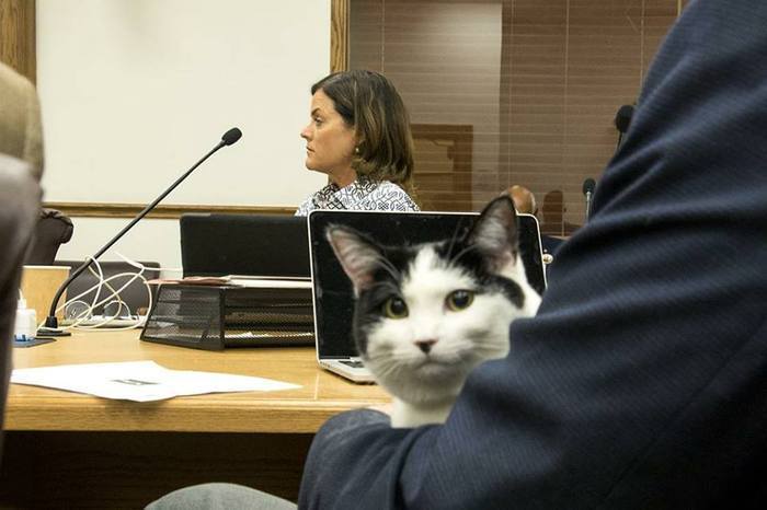 Zabemaru tweet media