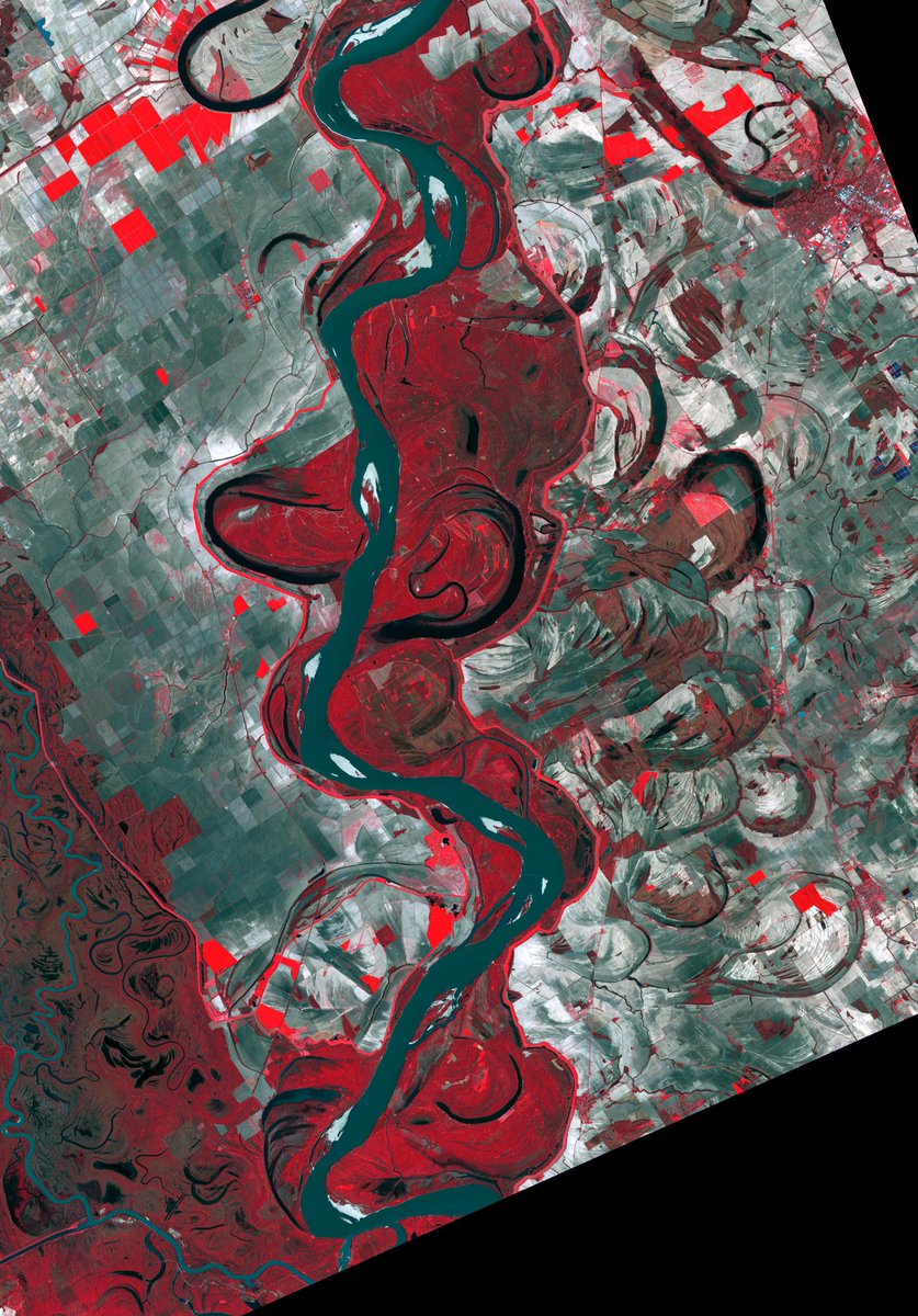 WIRED's tweet photo. Wow. Earth's topography comes to resemble that of an alien world when viewed under different wavelengths. https://t.co/DFF1ovwP9q https://t.co/FvILPPNvon