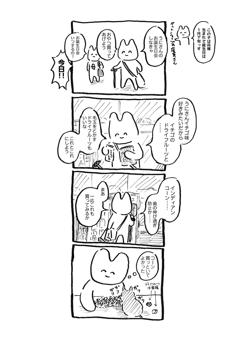 うにさんと私(80-101) #漫画 #オリジナル #4コマ #4コマ漫画 #エッセイ #うにさんと私 #ハムスター #創作 #カツオさんと私 #猫 https://t.co/i9P1JI30bn 