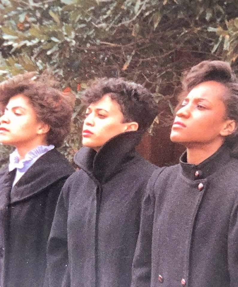 Kamala Harris Alpha Kappa Alpha Sorority Inc. probate.