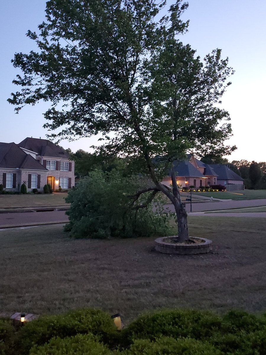 yr1965's tweet photo. Lost tree limb due to heavy wind gusts.. @NWSMemphis @RonChilders https://t.co/6psMzXBXkl