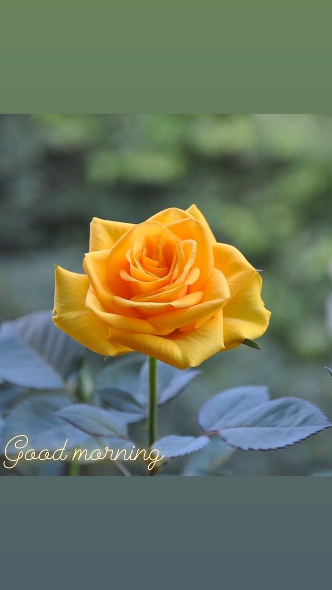 آل مكتوم (@black_ops_96) on Twitter photo 