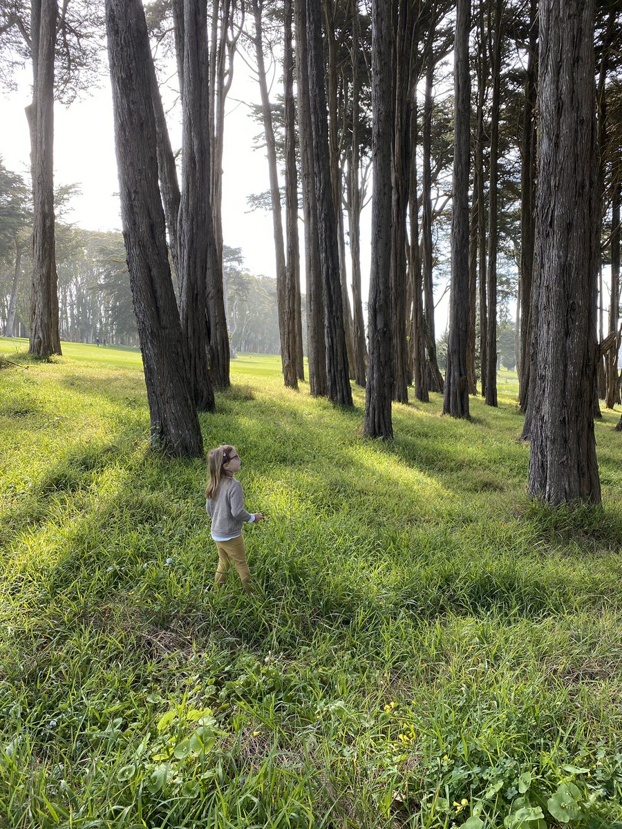 SF’s Presidio golf course is open as a park during the crisis. It was surreal to spend the day there. 150 acres of some of most gorgeous land on the peninsula: cypress groves, rolling hills and patches of nasturtium ... all usually too dangerous to walk through as a pedestrian.