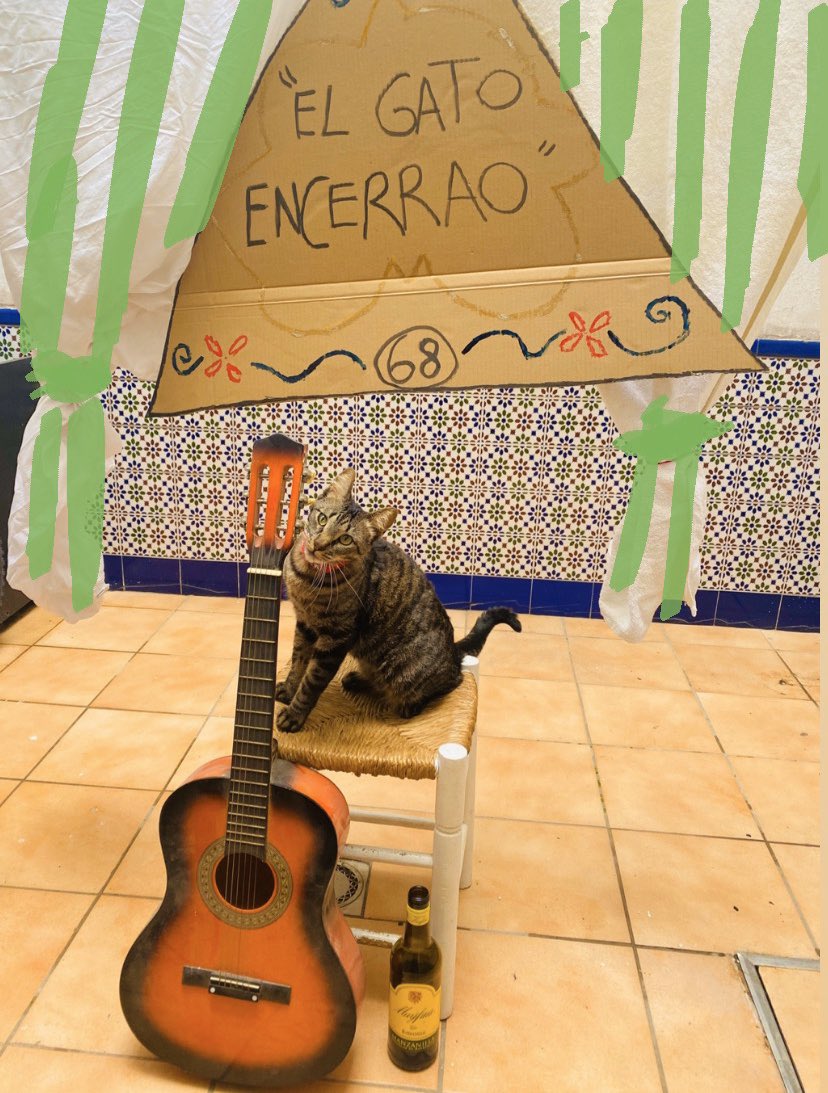 pilu_ms's tweet photo. Os espero a todo jarra de rebujito en mano en c/costillares 68 para tocaros unas coplillas. Atentamente “Paquirri the cat”  #FeriaDeAbril2020 #cuarentena https://t.co/RHny30FCzM