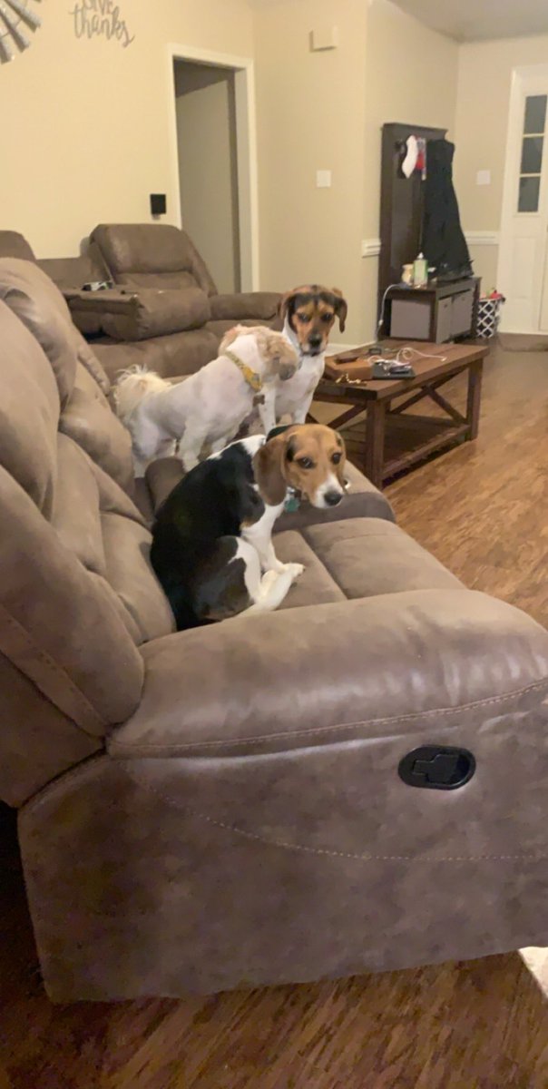 haleighm11's tweet photo. Zoe had fun with her new besties 💗 @h_mccoy18 https://t.co/J6Ap08U6Rj