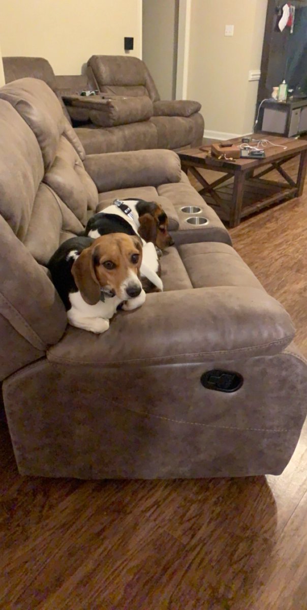 haleighm11's tweet photo. Zoe had fun with her new besties 💗 @h_mccoy18 https://t.co/J6Ap08U6Rj