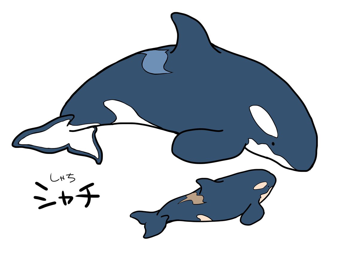 カラフルに塗れそうなもの追加しました(塗ってくださった方々ありがとうございます!) 