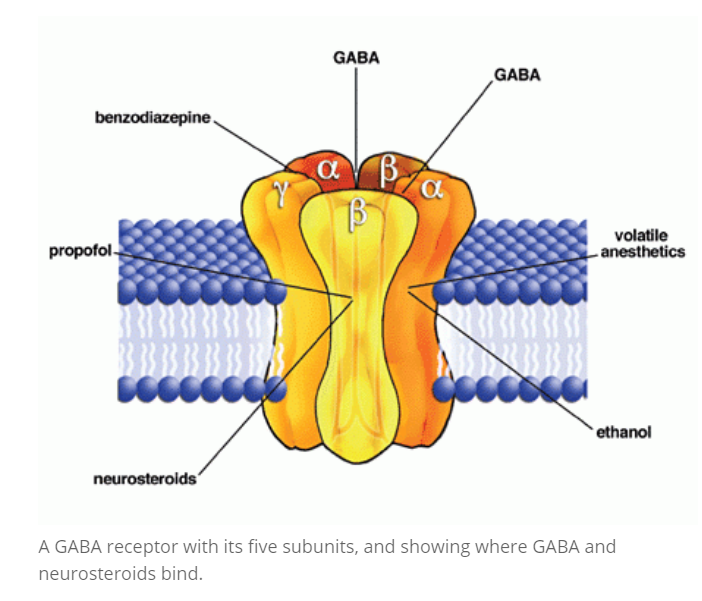 Premenstrual dysphoric disorder ( #PMDD) or neurosteroid sensitivity is caused, in part, by an abnormal response of the GABA receptors to progesterone and allopregnanolone.