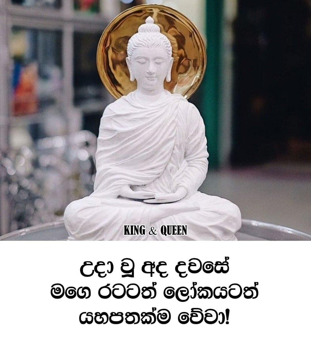 DDasintha's tweet photo. ❤️🙏🇱🇰 https://t.co/1wmVtYgcLU