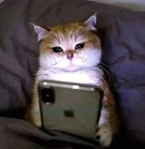 อาวล่ะ tweet media