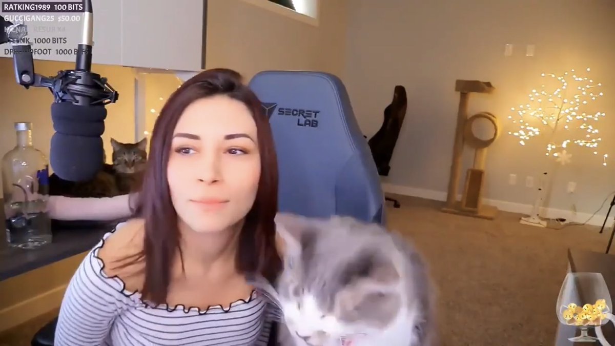 Alinity giving her cat vodka (something deadly to cats) In violation of this section of  @Twitch TOS (Animal abuse is illegal):