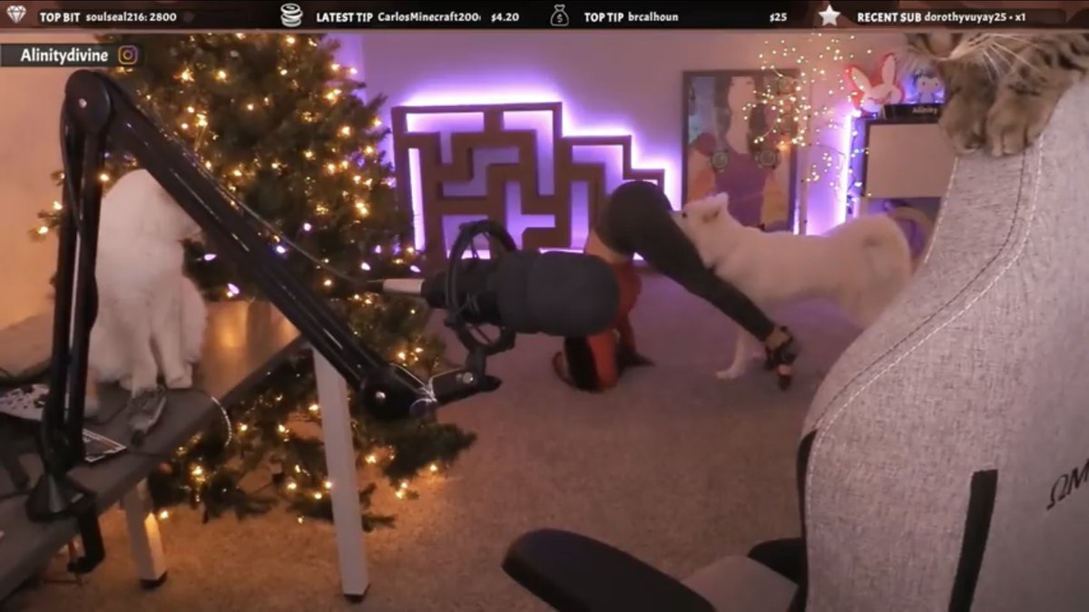 Alinity letting her dog eat her out & hump her for long periods of time (Depending on your Interpretation this could also be animal abuse)
