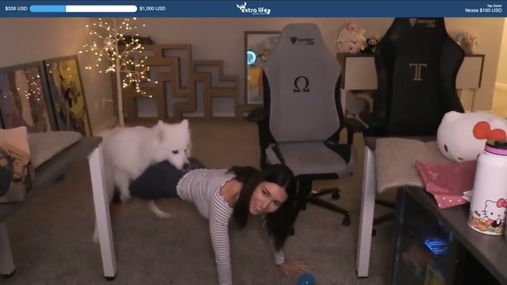 Dog eats store her out