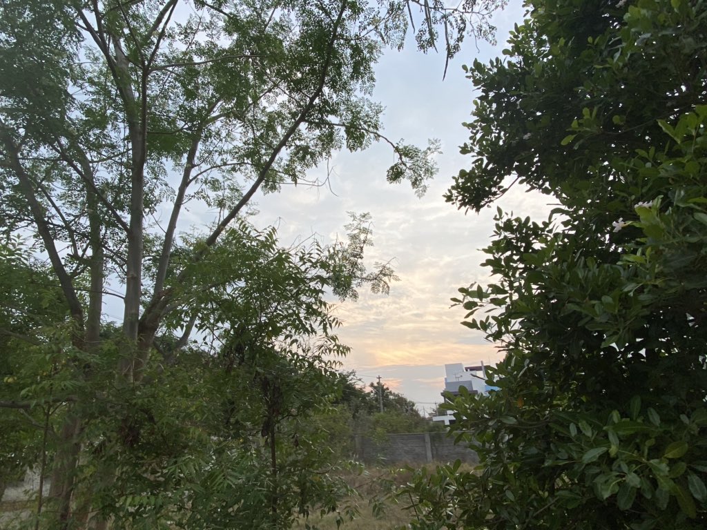 Good Morning dear tweeps/friends/ bros/ sisters / sons / daughters Have a great and Safe Sunny Day dear allAmazing   #Sunrise at 6.30 AM today  @LensAreLive  @Jay_Rombach  @periyakulam  @USAS_WW1  @factandrumor  @redsand2  @dewanderersoul  @LavaletteAstrid  @SAEED_Guide  @PMSKTM  @SARFRAZ512