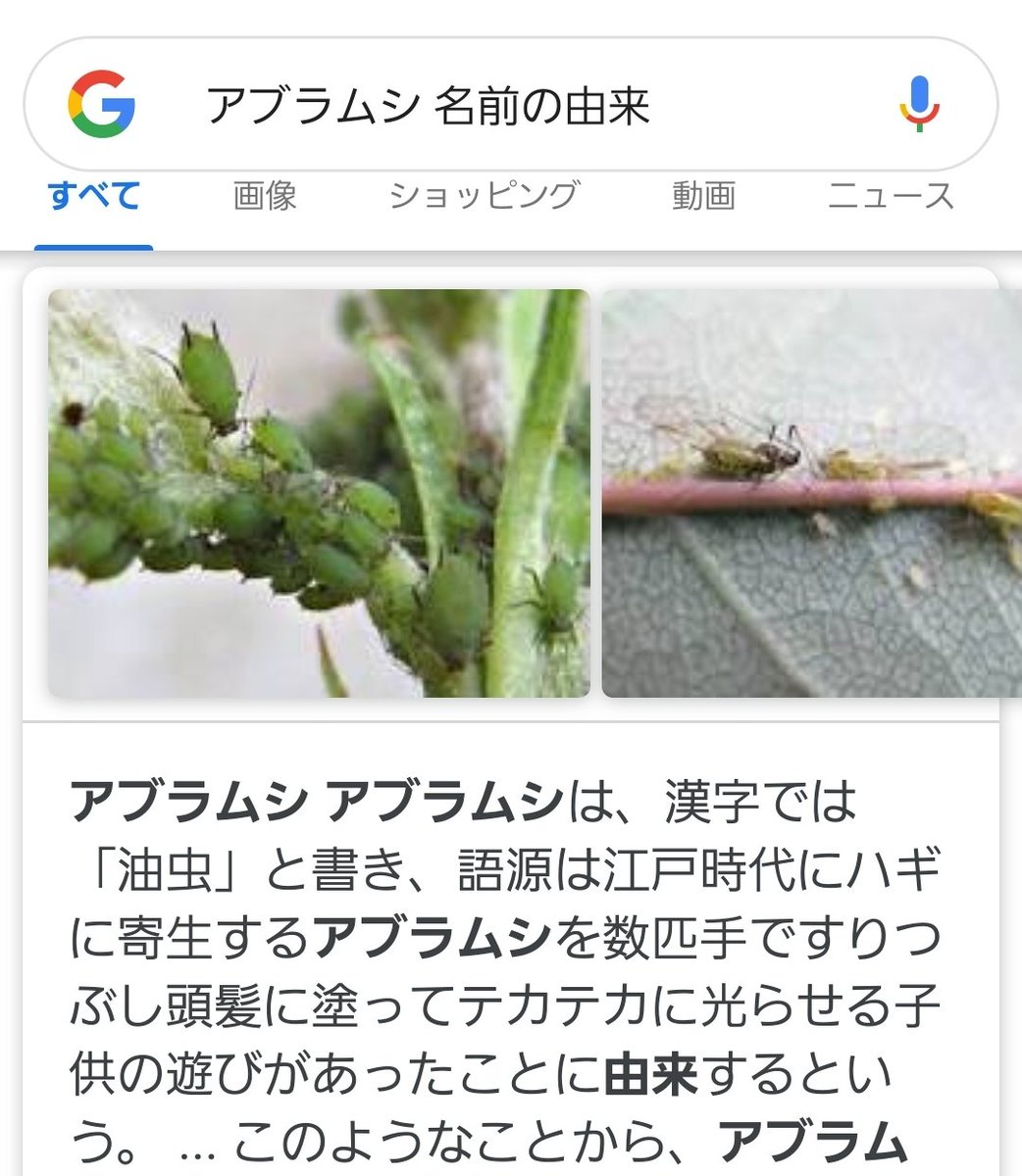 Daccithechopper の画像 動画一覧 Whotwi グラフィカルtwitter分析