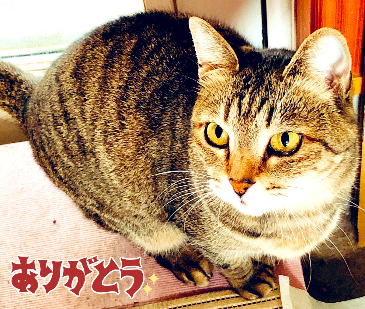 MKtrunk tweet picture