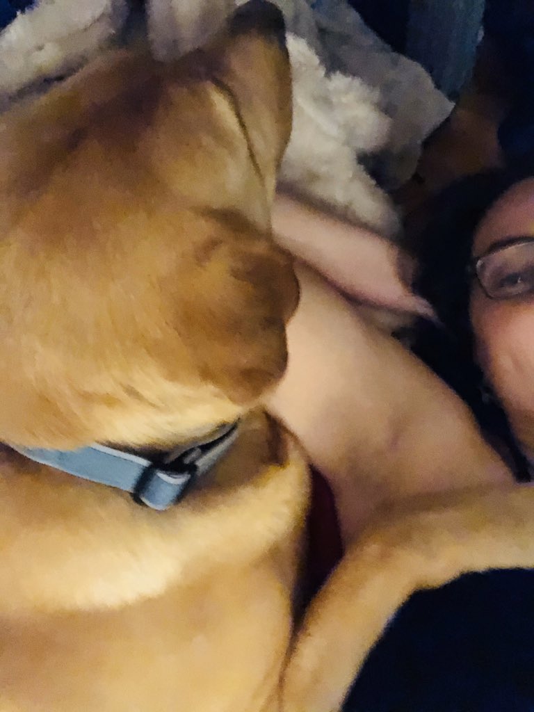 GoslinK123's tweet image. #WhatIAmLearningInQuarantine

I am my dog’s emotional support animal. 

😑

#kindawishiwaskidding