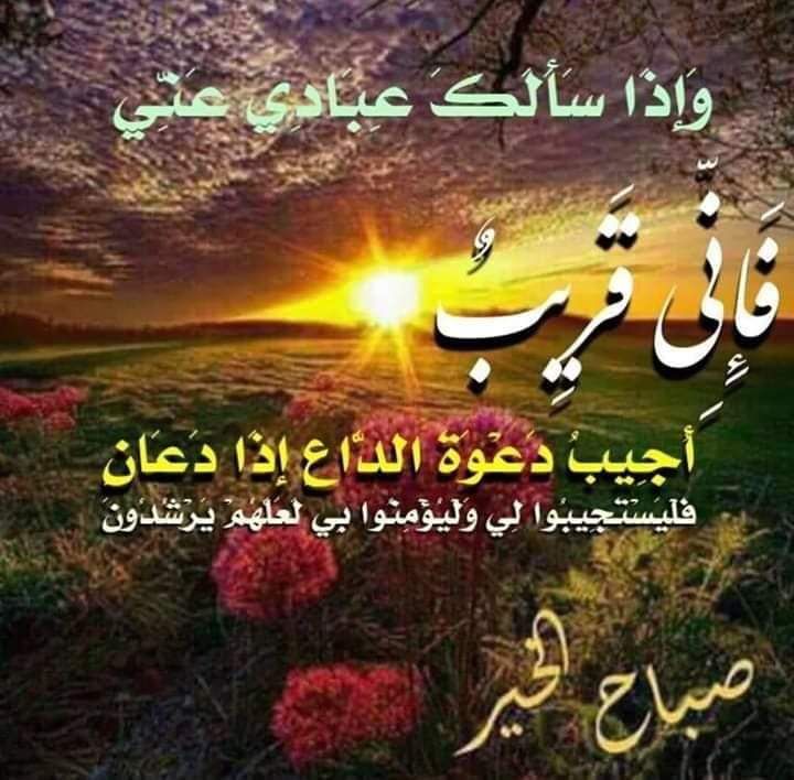 جمانة .. (@jumana1955) on Twitter photo 