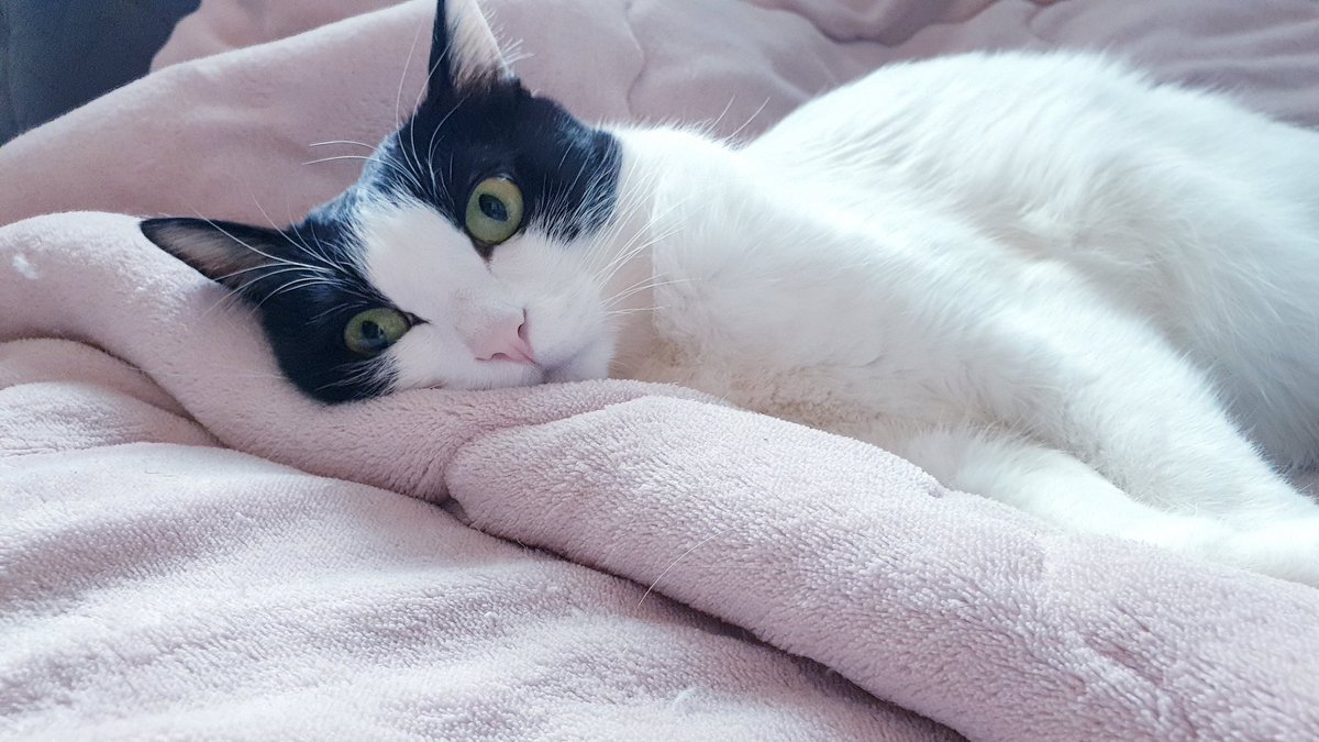 표정 왜 그래.....?