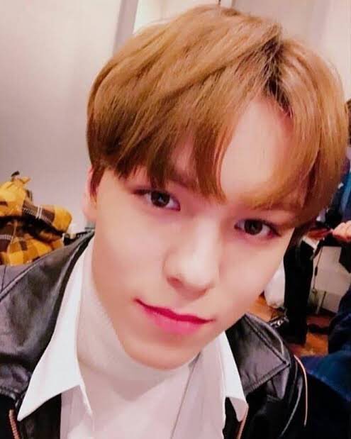 — vernon selcas; a thread ♡