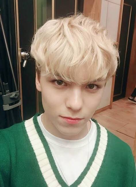 — vernon selcas; a thread ♡