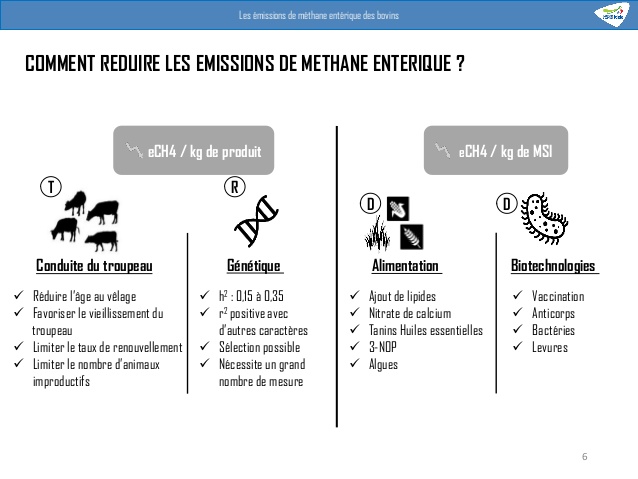 Benoît Rouillé tweet media