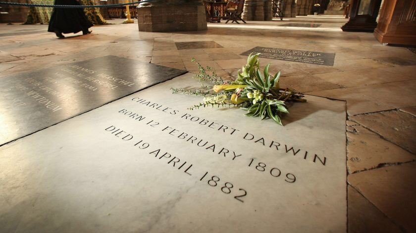 On this day in 1882, Charles Darwin was buried in Westminster Abbey, having died at Down House on 19th April. His pall bearers included Joseph Hooker and Alfred Russell Wallace.