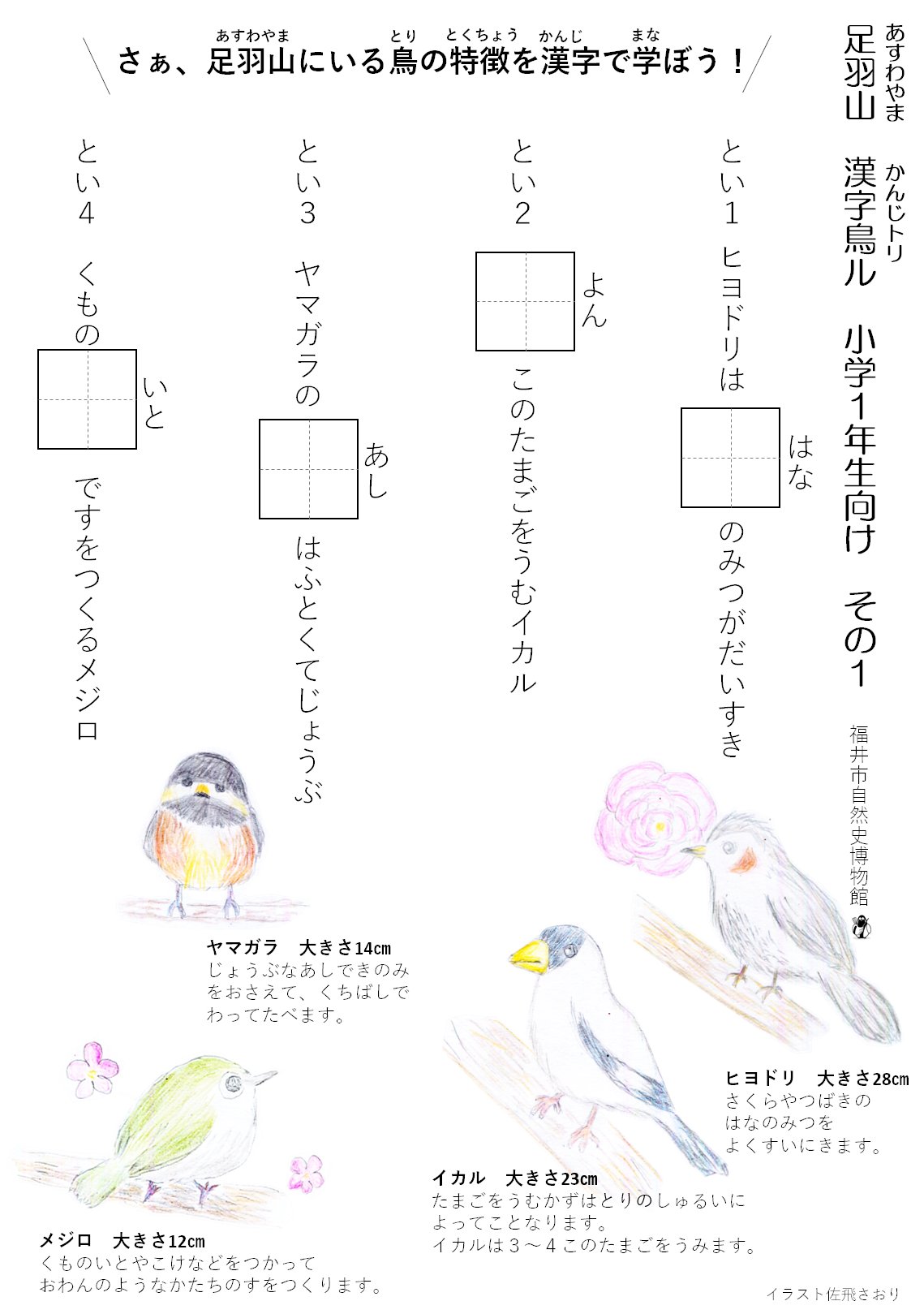 福井市自然史博物館 休校中の子ども達に何かできないかと 野鳥の生態が学べる漢字ドリル を作ってみました 小学校の各学年で習う漢字のドリルですが 鳥の生態を紹介する例題になっているのが特徴です まずは小学１ ２年生向け T Co