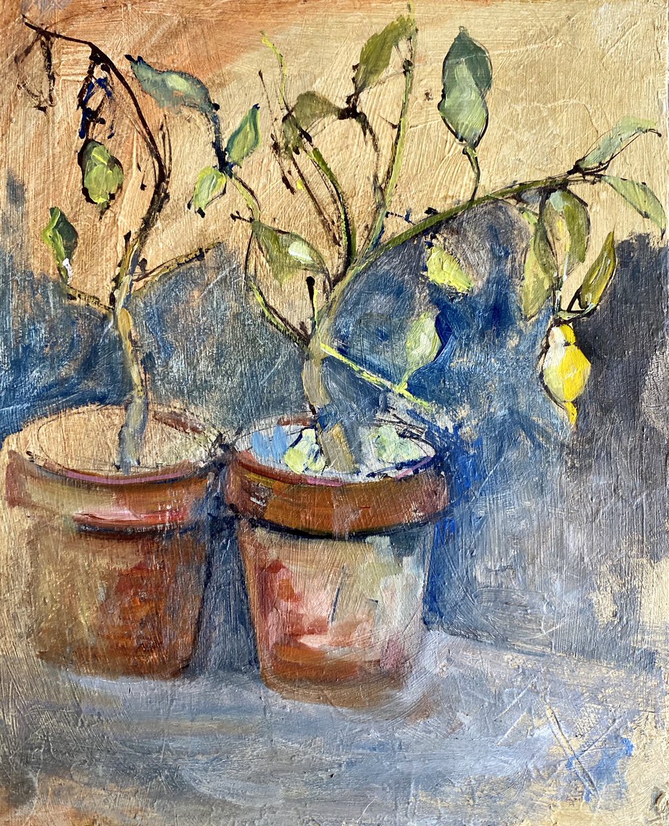 Another plein air from yesterday. I didn’t get it finished but it was a good subject so if I get the chance will have another go. If they don’t die first! They are rather sick looking. Two lemons though! #gardenpainting #pleinair #isolationlife