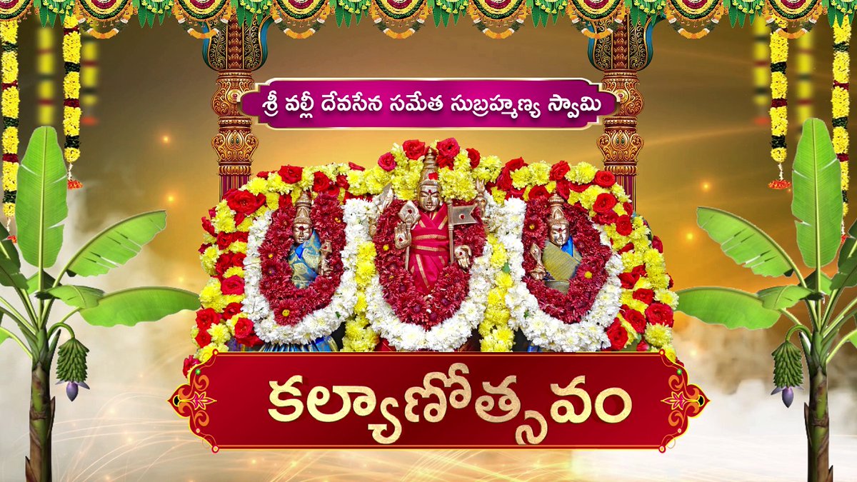 SrisailaTemple's tweet photo. Om Namah Shivaayah 
Sree Matree Namah… 

“ PAROKSHA SEVA ”

Sri Valli Devasena Subrahmanya Swaamy Vaari Kalyanam

“ Srisaila Lingam Shirasaa Namaami ”
 “ Srisaila Lingam Manasaa Smaraami ”

Like Share and subscribe our #Srisailatv

https://t.co/PxF9n6PbO5

8333901351,52,53. https://t.co/40xs24U3ZT