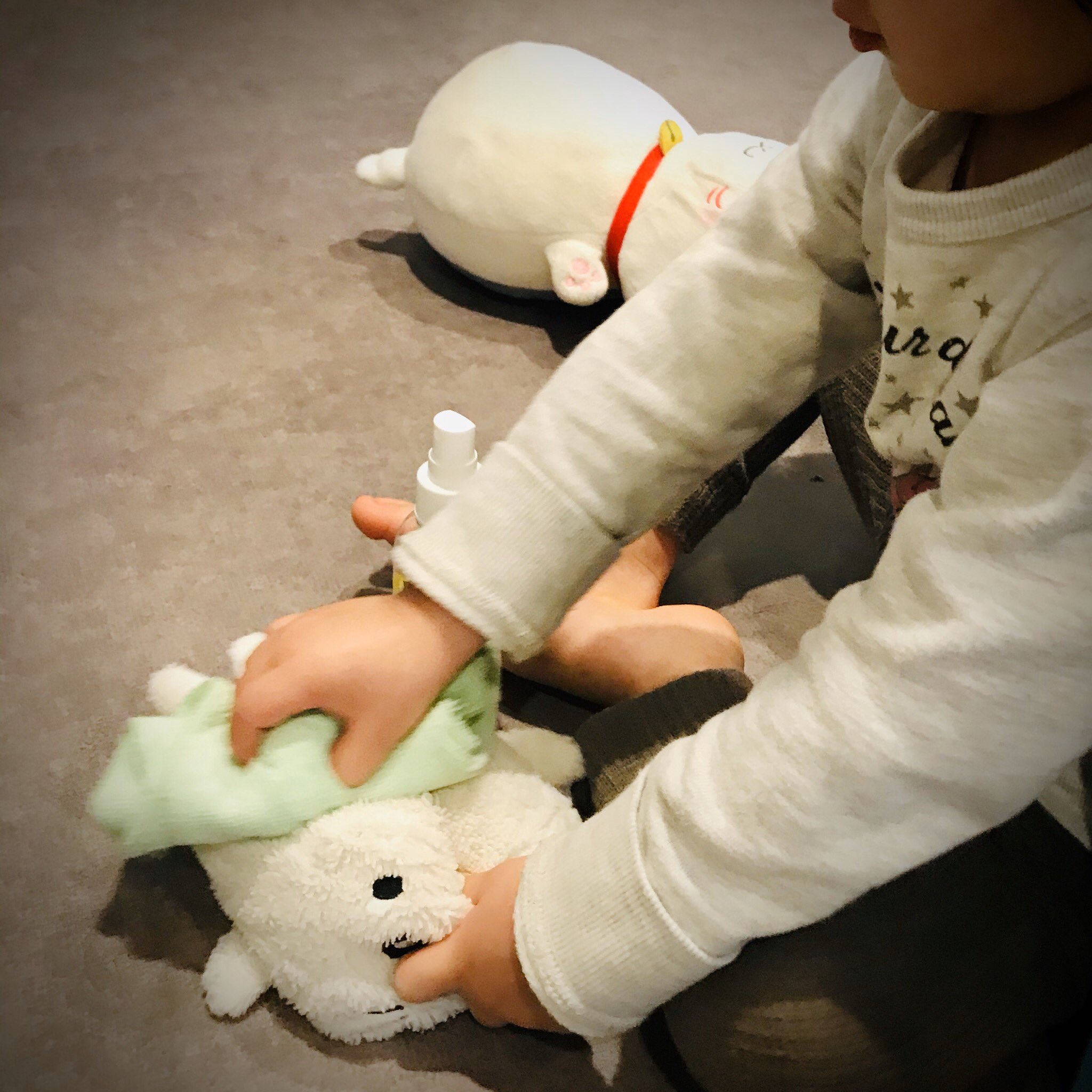 愛されすぎたゴマちゃん Twitter Search Twitter