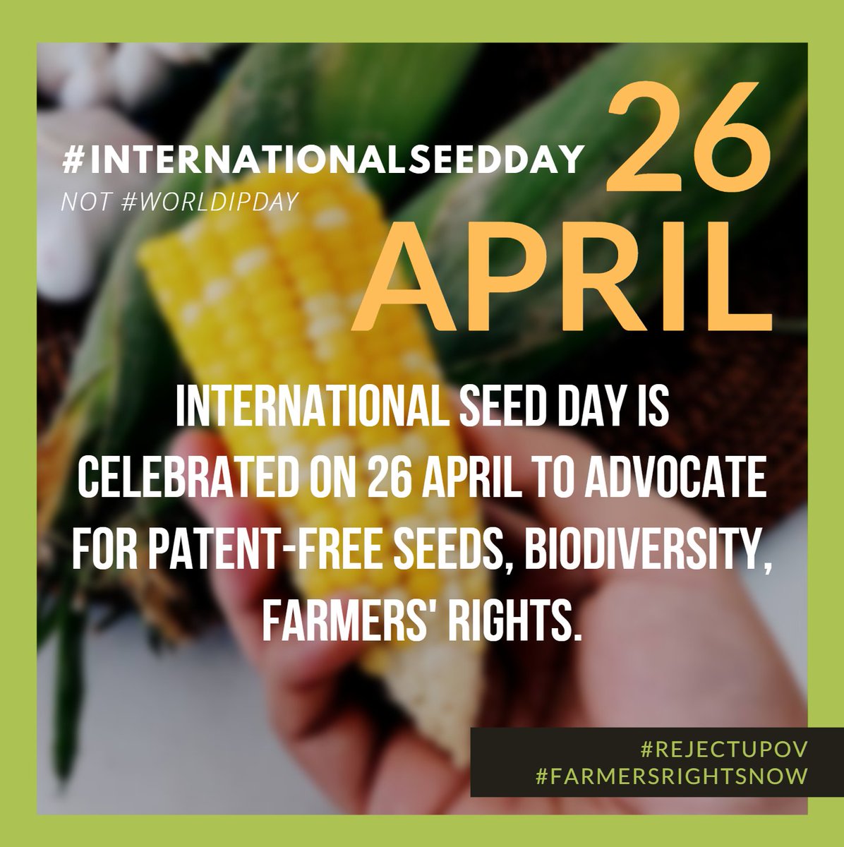 Happy #InternationalSeedDay. To learn why having large international companies dominate the seed market is bad news for everyone, read this: globalagriculture.org/report-topics/… 
#foodsecurity #rejectUPOV #farmersrightsnow