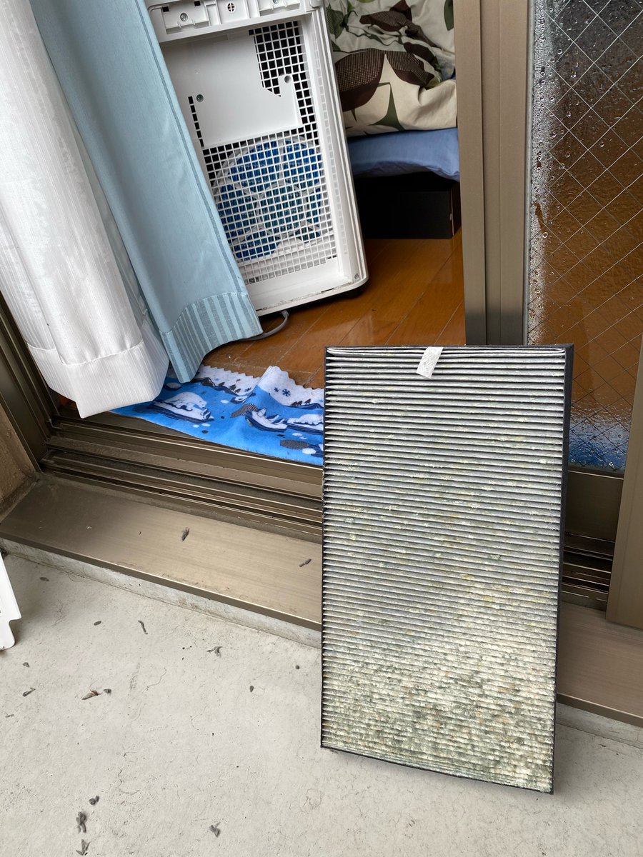 ゆうとん ここ数週間 咳が止まらないし もしかしたら感染してんのかな と思ってとりあえず空気清浄機を掃除するかと思ったらフィルターにびっしりとカビが生えていた 空気清浄機どころか空気汚染器やんwこんなんw窓際の結露がやばいのでその影響だな