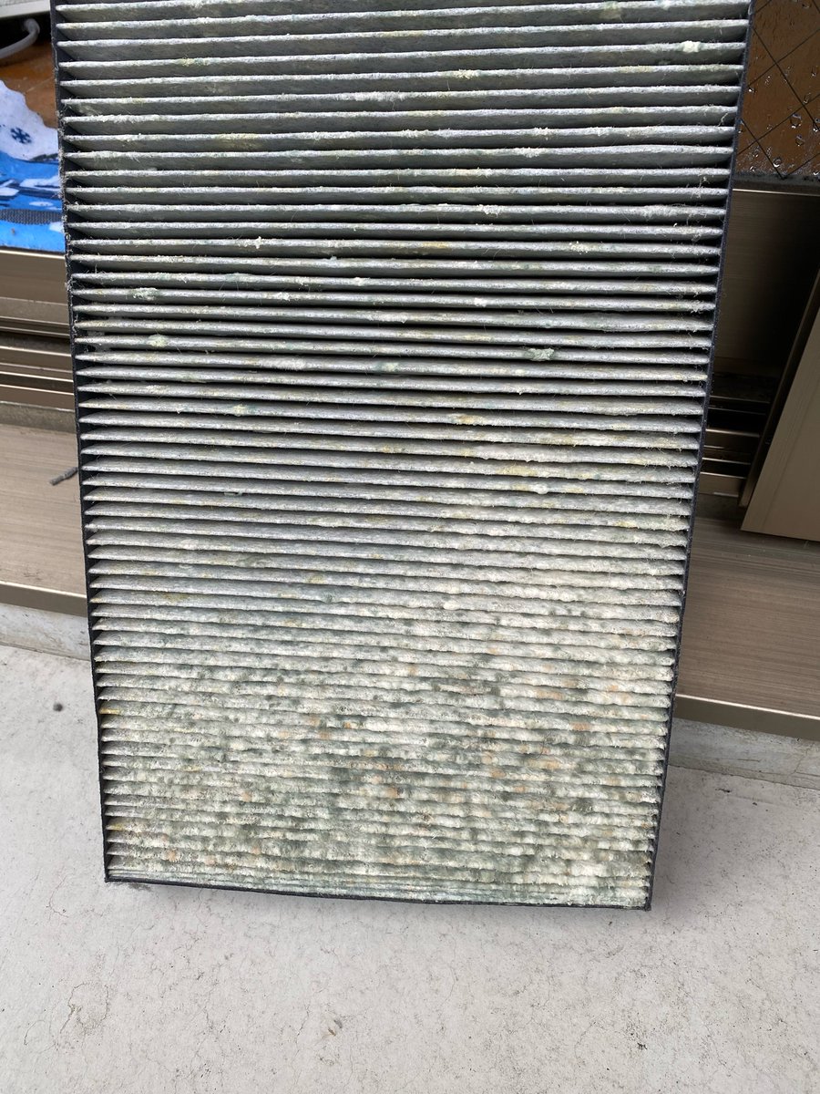 ゆうとん ここ数週間 咳が止まらないし もしかしたら感染してんのかな と思ってとりあえず空気清浄機を掃除するかと思ったらフィルターにびっしりとカビが生えていた 空気清浄機どころか空気汚染器やんwこんなんw窓際の結露がやばいのでその影響だな