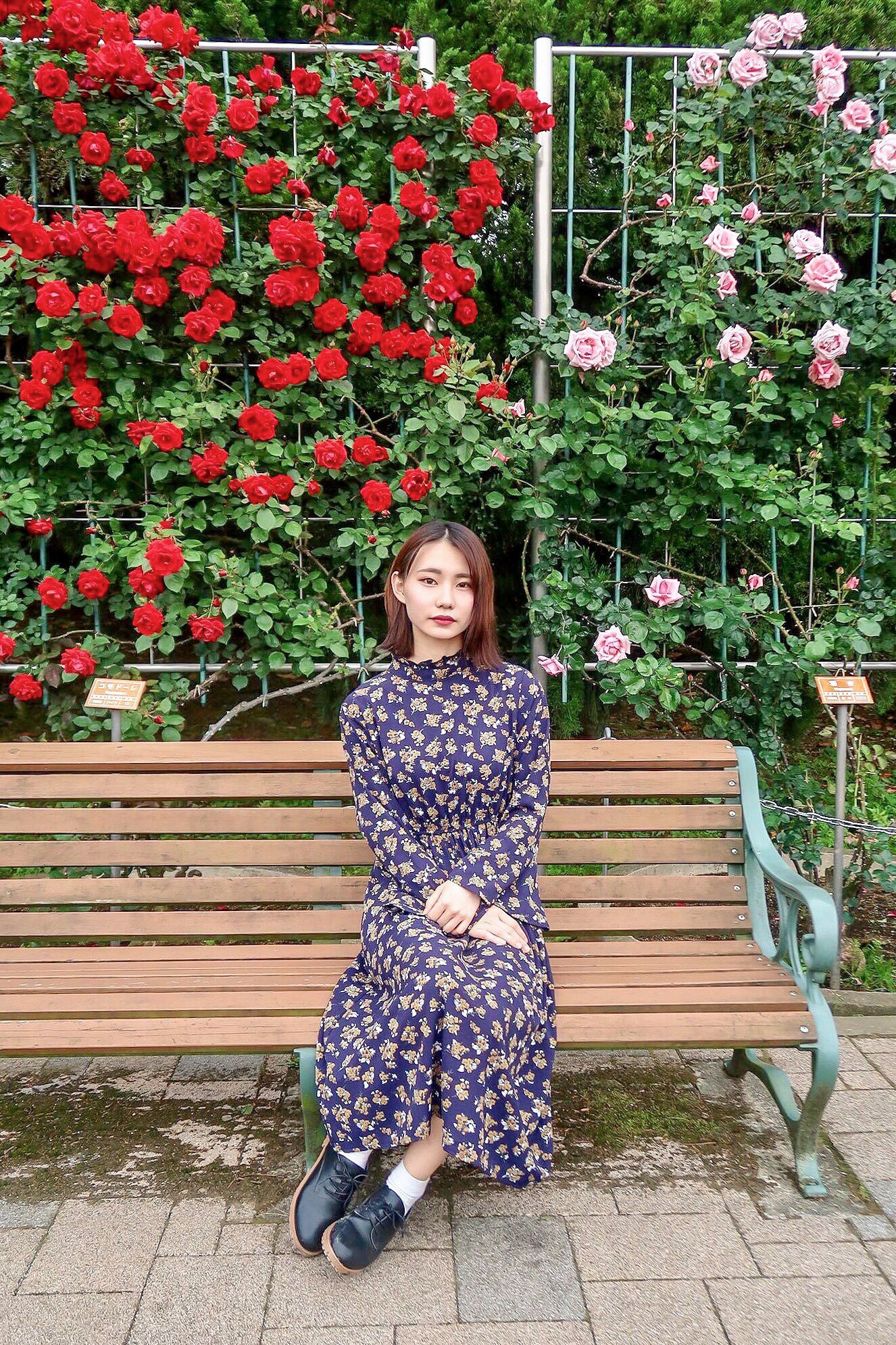 薔薇少女 Twitter Search Twitter