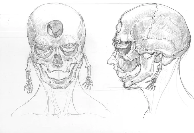 さらに異形の鬼「玉壺」の頭蓋骨のラフスケッチ。腕はもう一対あるのか。環椎(第一頸椎)の横突起を長く伸ばして関節させるのがよいかな。上顎、下顎は歯を無くして眼球を傷つけないようにしてみた。#上弦の鬼  #鬼滅の刃 #上弦の伍 #玉壺 #美術解剖学 #異形の美術解剖学 