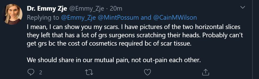 I did not block MintPossum for calling Emmy out. Initially, when I looked at the situation, I was on MintPossum's side and asked  @Emmy_Zje to let it go. The next day, when I looked at the situation, MintPossum had linked at some point this tweet of Emmy's and said she had