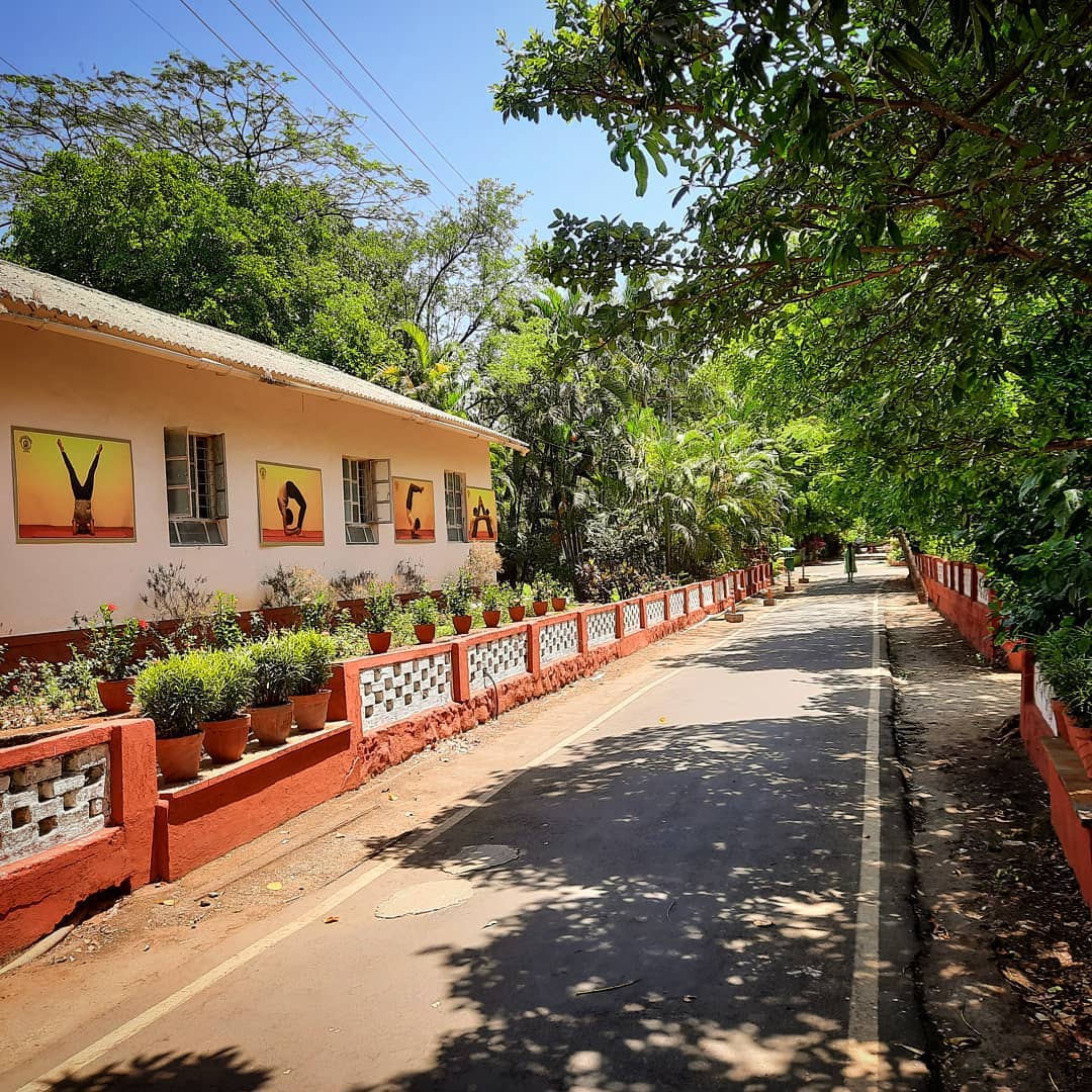 kdhamyoga's tweet photo. Bliss.

#stayathome #staystrong #kdham #kaivalyadhamayogainstitute #nature #yoga #innerpeace #knowledge #yogaeducation #yoga
#kdham #nature_perfection #yogatherapy #wild #kaivalyadhamayogainstitute #meditation #yogalife #healthyliving #yoga #nature #lonavla #yogainspiration #yoga https://t.co/F6EVpDvsG3