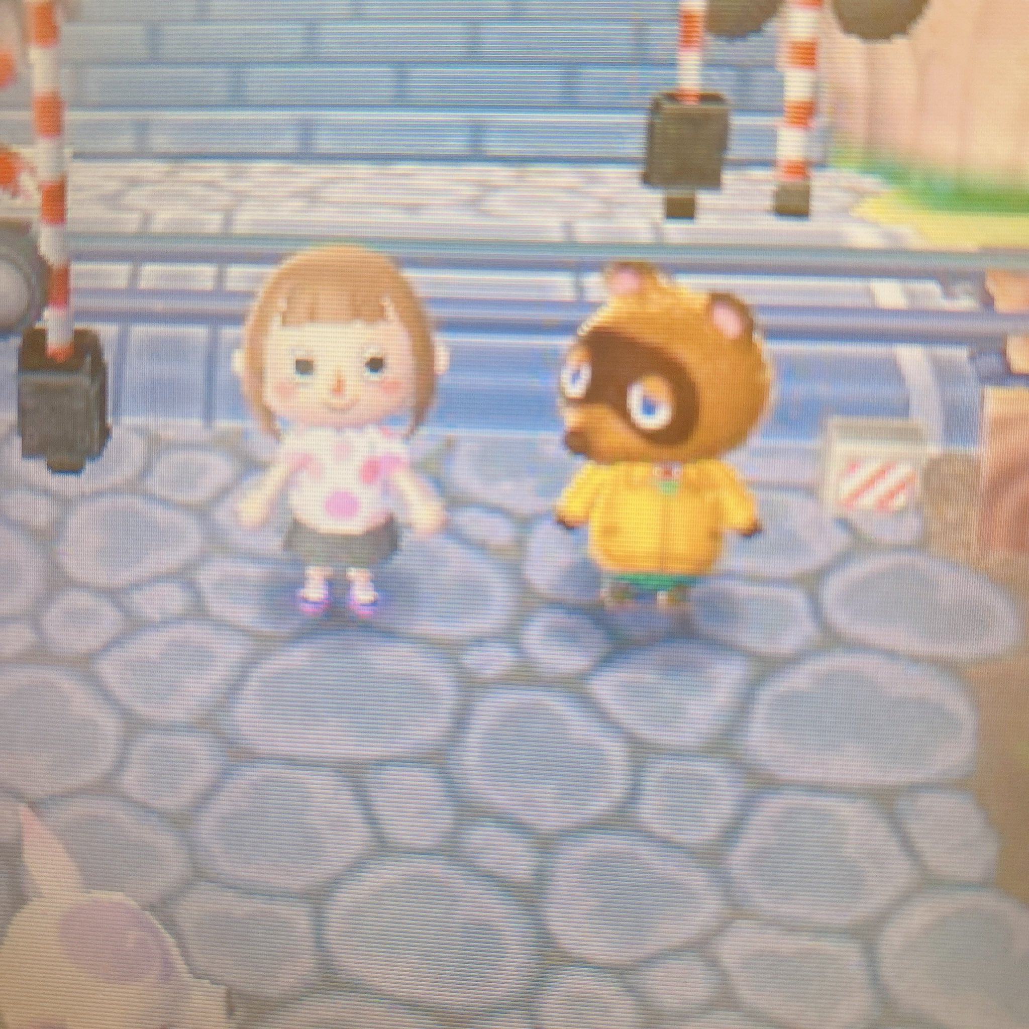 とび森フレンド募集 - Twitter Search / Twitter